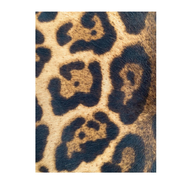 MICHAEL KORS Leopard Print Skirt Brown SIZE M