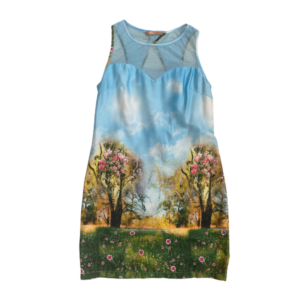 Landscape Print Mini Dress Blue SIZE S