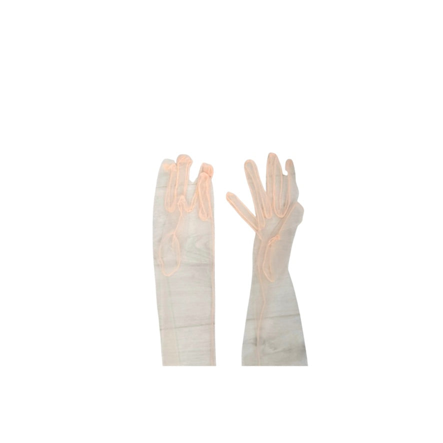 Pair of beige gloves on a white background