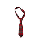 Red plaid tie on a white background
