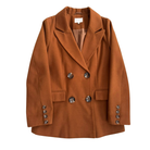 Brown coat with silver buttons on a white background