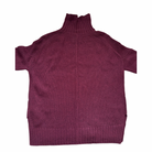 Burgundy turtleneck sweater back  on a white background